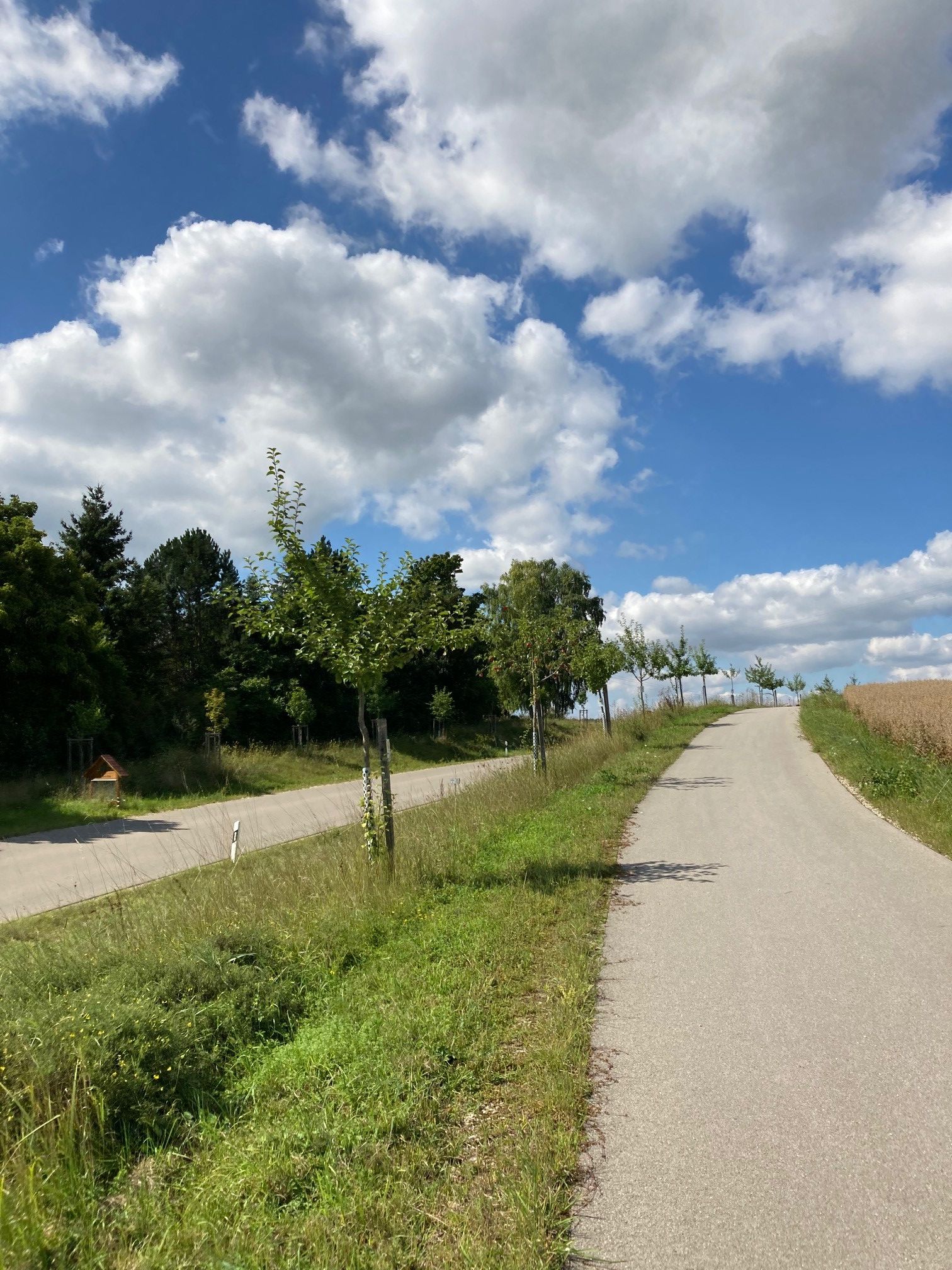 Obstlehrpfad Amerdingen-Aufhausen